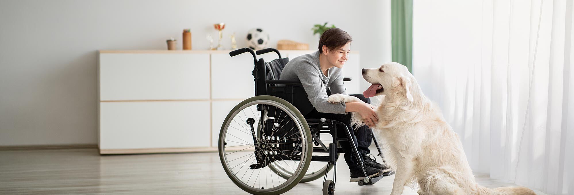 Ein fröhlicher junger Mensch im Rollstuhl spielt mit einem Therapiebegleithund in einem hellen Raum.