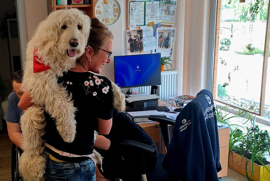 Eine Frau hält einen Therapiebegleithund, während sich im Hintergrund eine freundliche Büroumgebung mit Pflanzen zeigt.