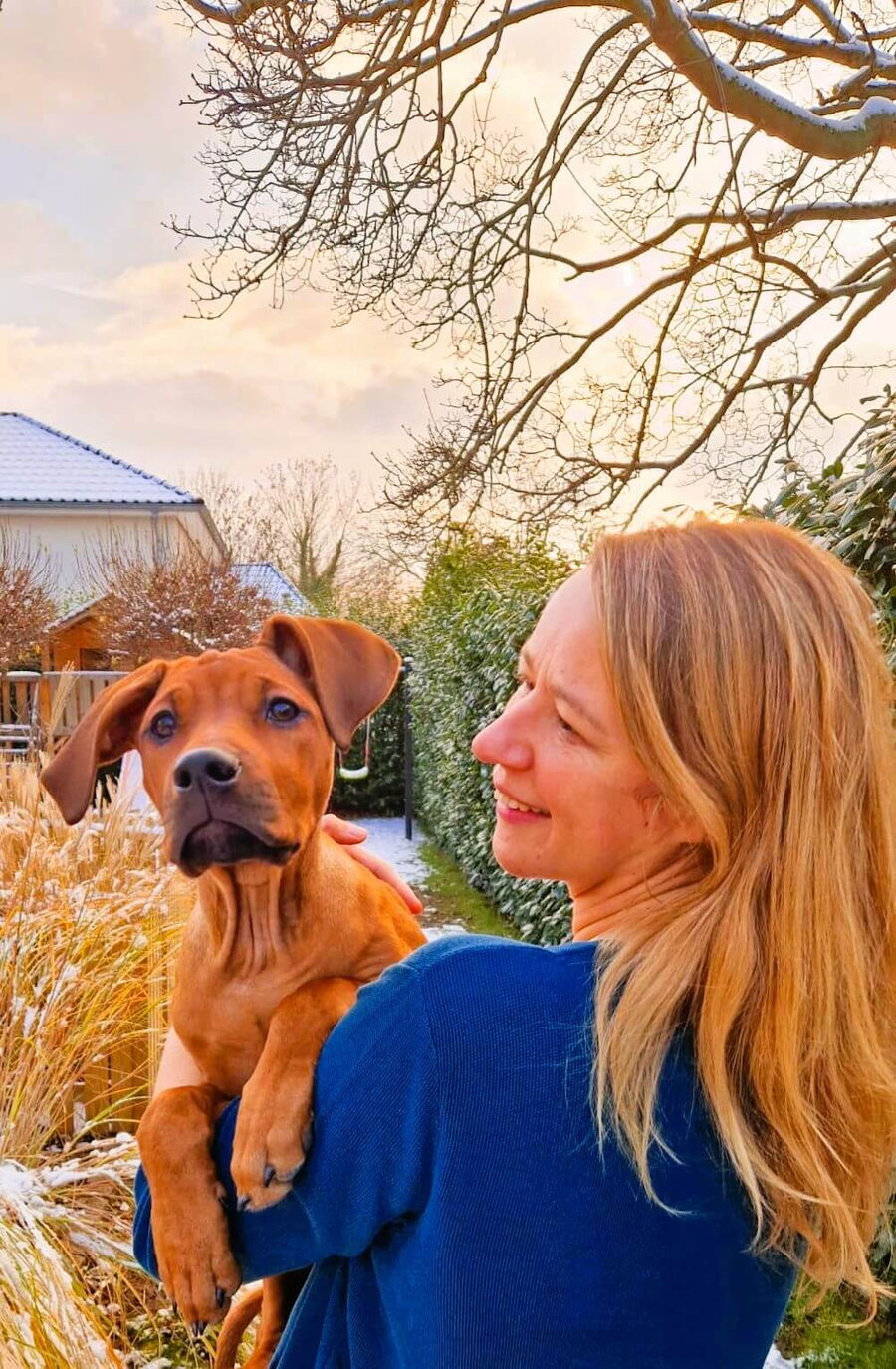 Eine Frau hält einen jungen Hund im Arm, während sie ihn liebevoll anlächelt, was auf die Ausbildung von Therapiebegleithunden hinweist.